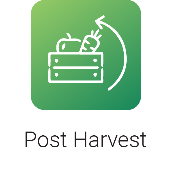 post-harvest